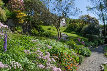 a group of bushes in a garden